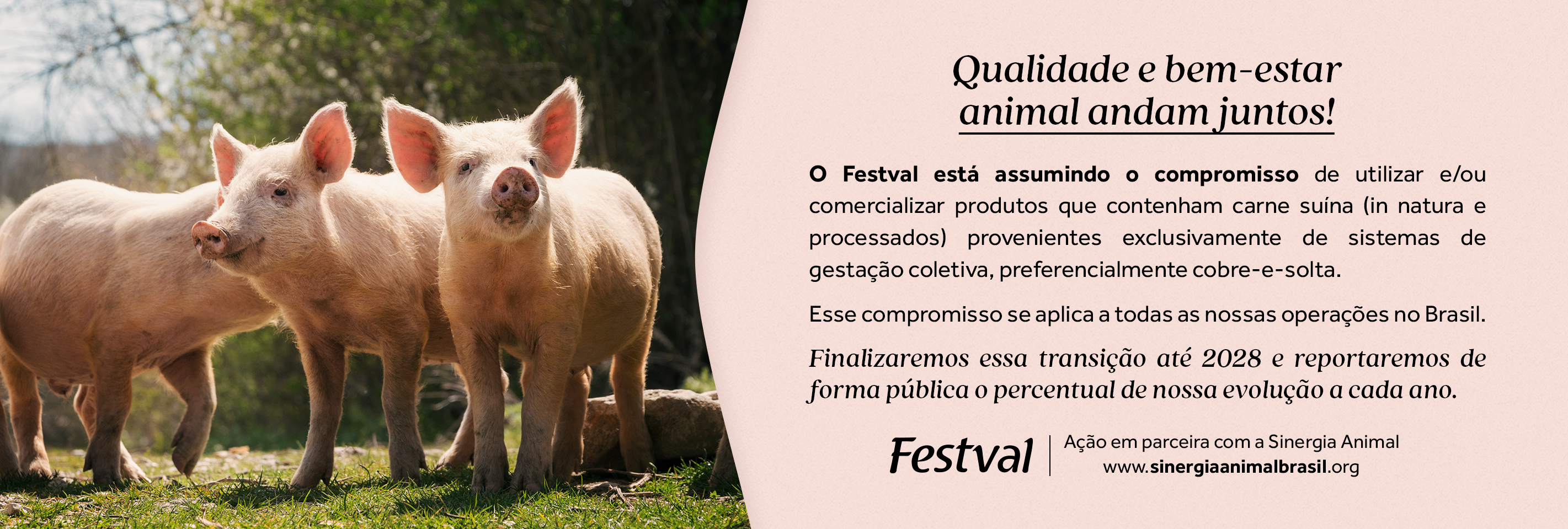 Sinergia Animal – Festval Curitiba 
