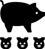 ícone porcos